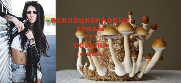 прущая мука Баксан