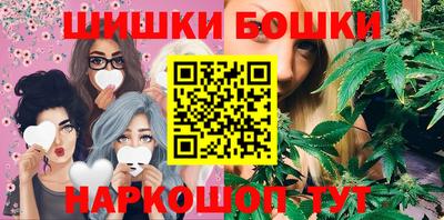 индика Новозыбков