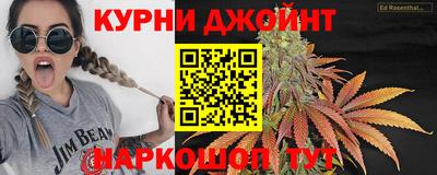 индика Новозыбков