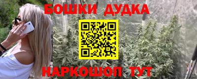 дурь Новодвинск