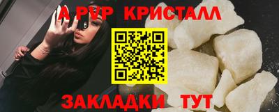 индика Новозыбков