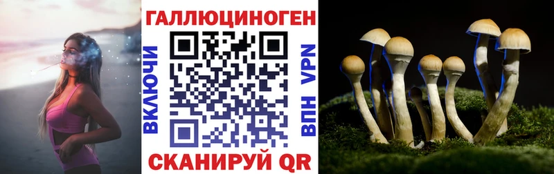 купить наркотики сайты Соль-Илецк Галлюциногенные грибы мицелий